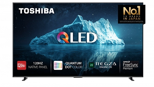 Toshiba 100Z670RE